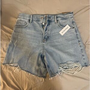 Pacsun Relaxed Jorts
